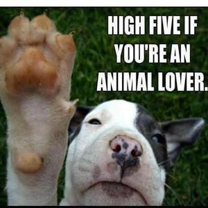 Meet your Posher, Anne